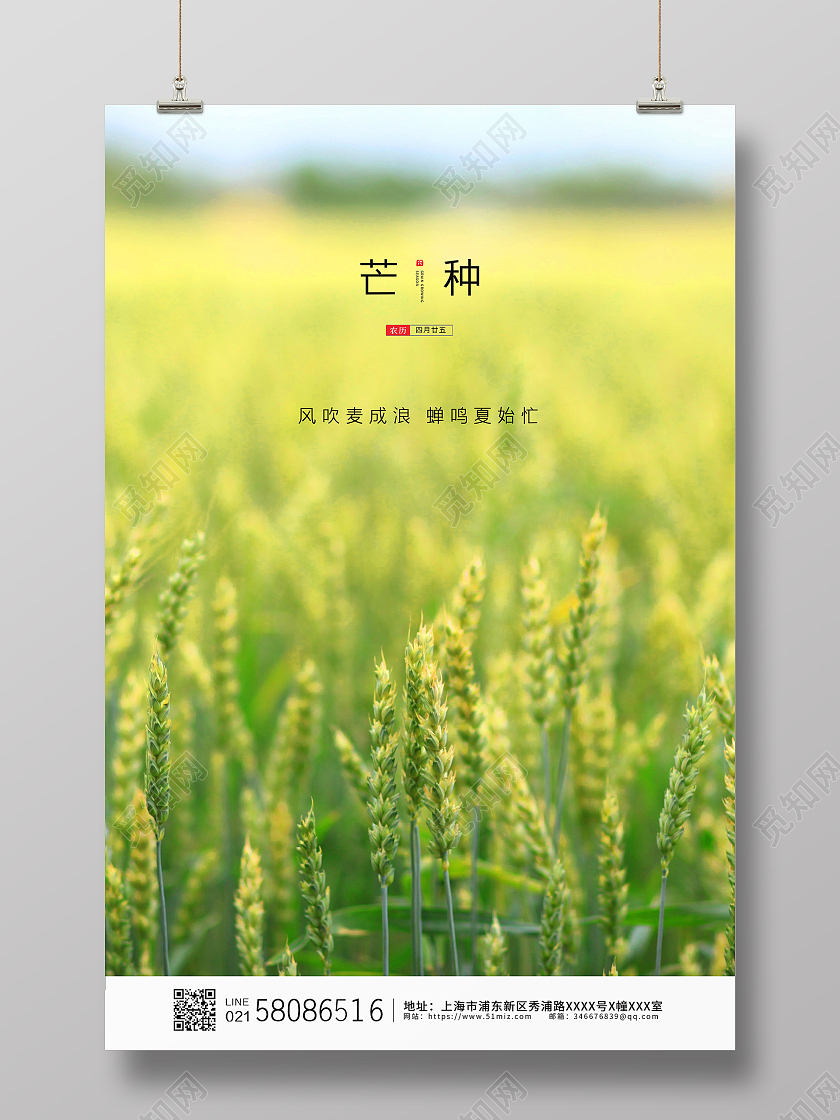 黄色简约大气麦田二十四节气芒种宣传海报