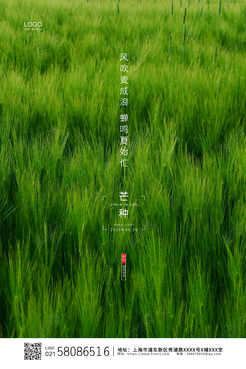 绿色简约大气麦田实拍二十四节气芒种宣传海报