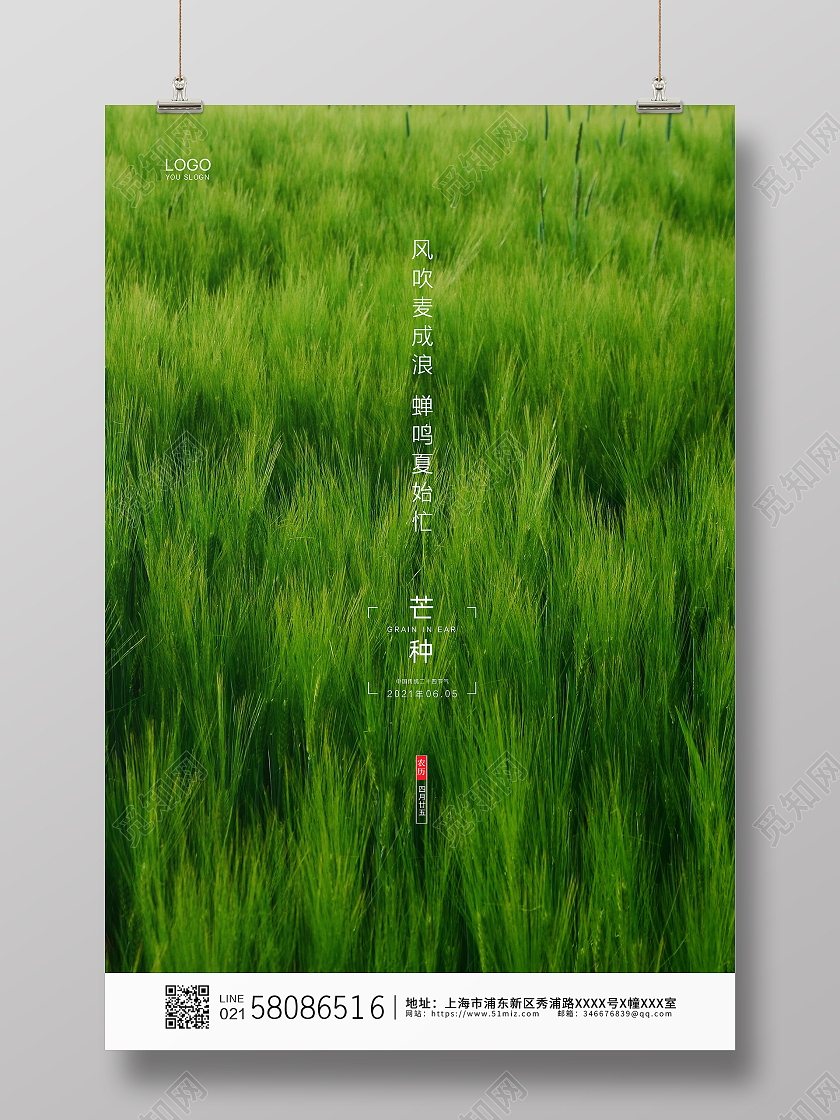 绿色简约大气麦田实拍二十四节气芒种宣传海报