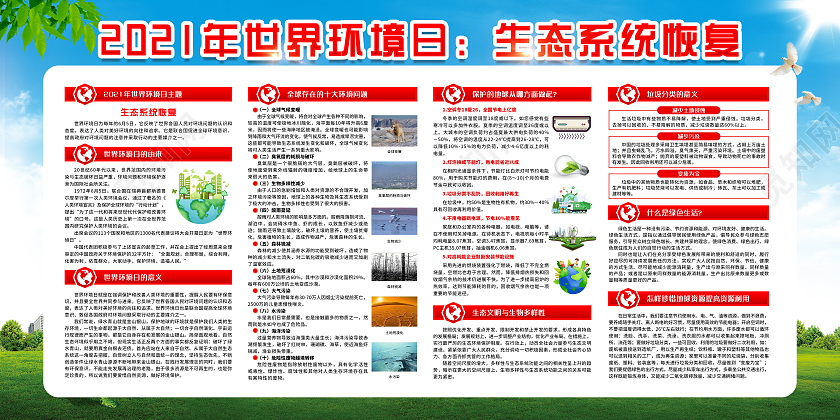 绿色简约世界环境日宣传栏