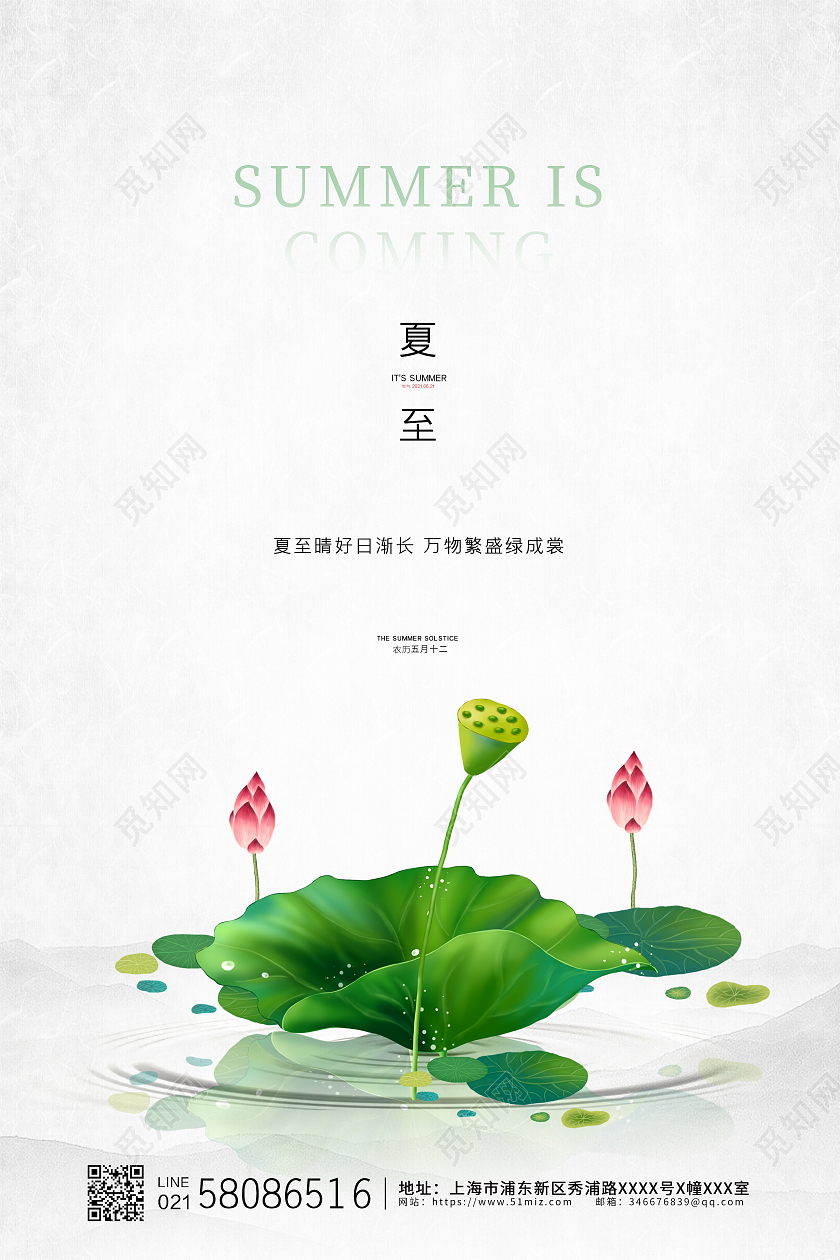 白色简约大气小清新24节气二十四节气夏至节气宣传海报二十四节气24节气夏至