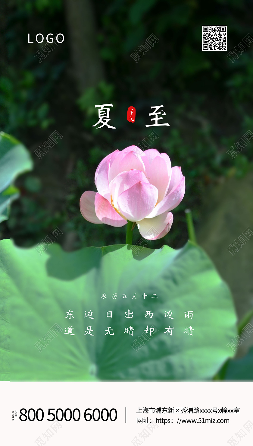 绿色清新简约荷花二十四节气夏至海报夏至ui二十四节气24节气夏至ui手机海报