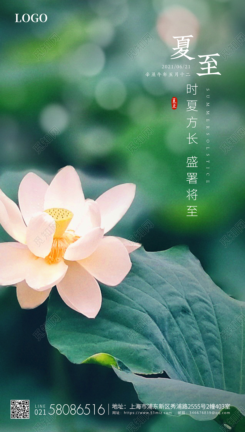 绿色简约荷花夏至宣传UI海报二十四节气24节气夏至ui手机海报