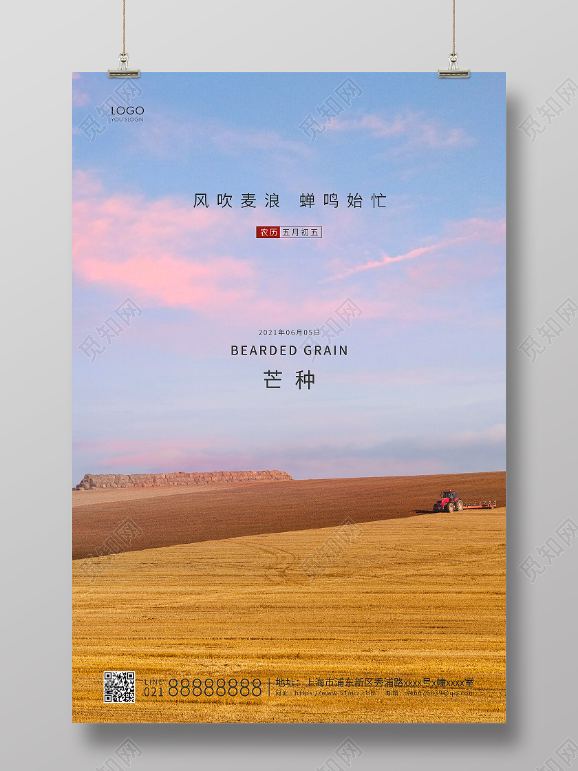 实拍简约二十四节气芒种节气宣传海报