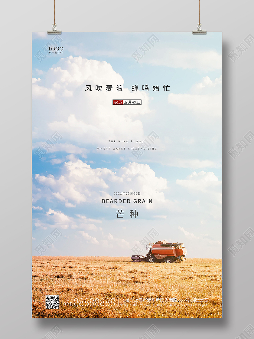 实拍简约二十四节气芒种节气宣传海报