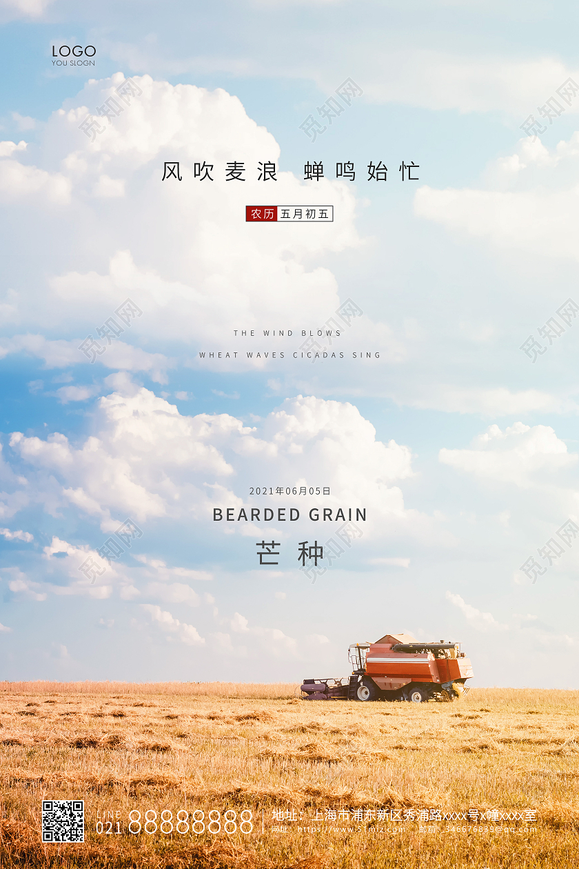 实拍简约二十四节气芒种节气宣传海报