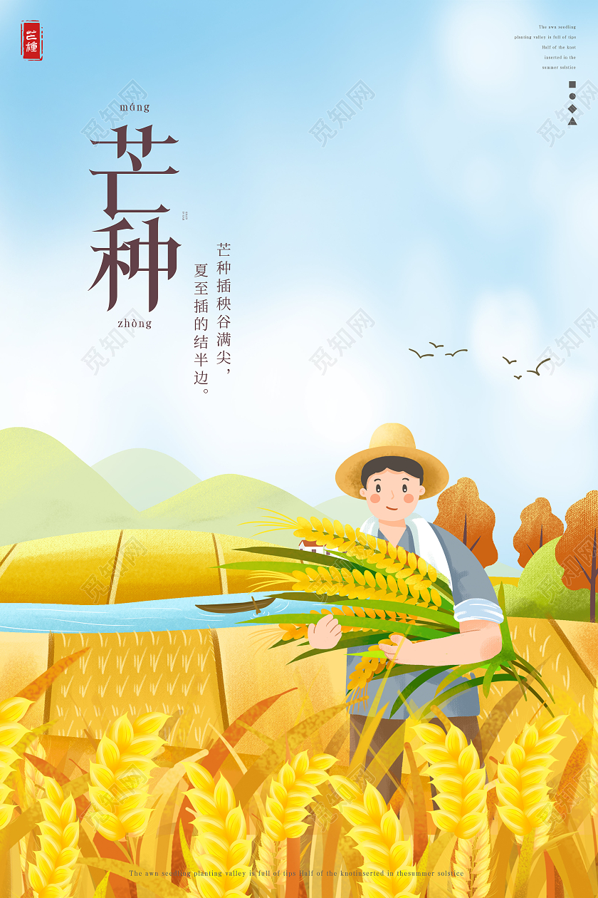 蓝黄色插画芒种海报