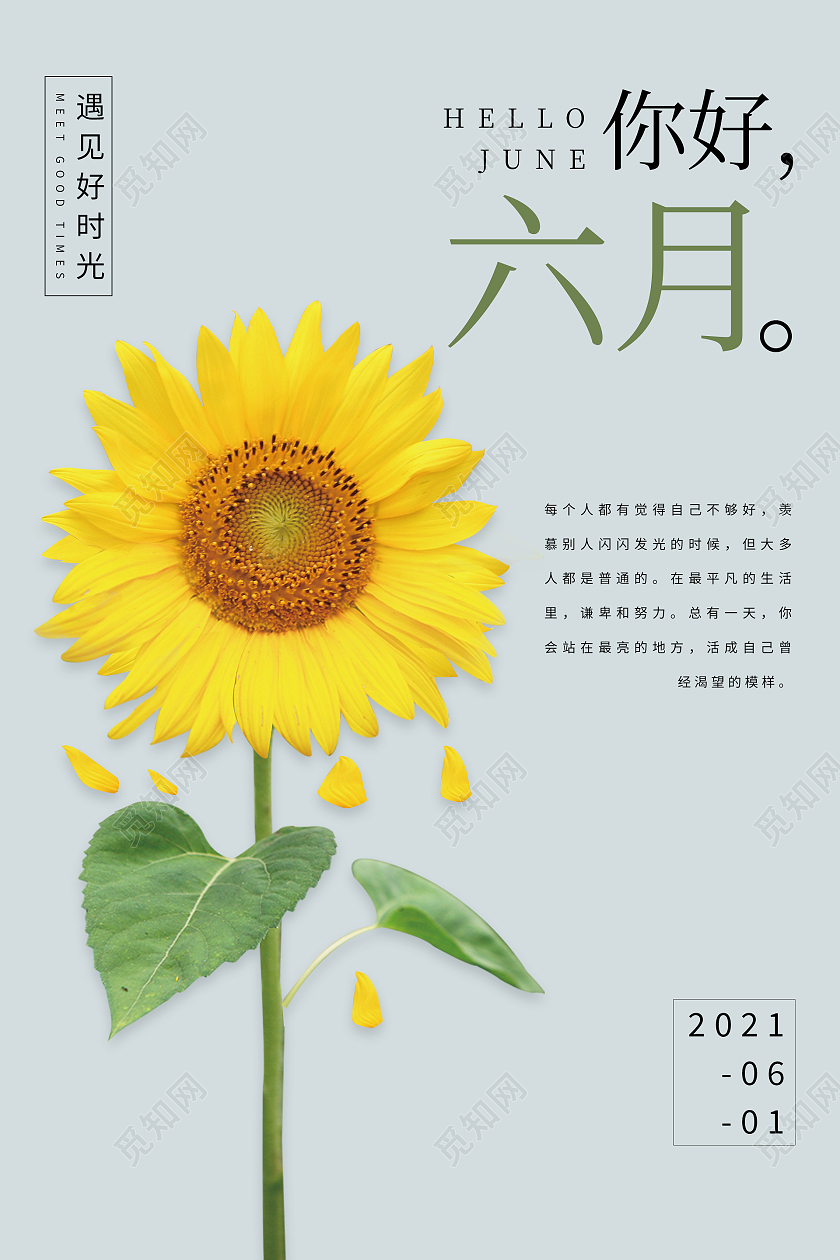 灰色简约清新六月你好海报