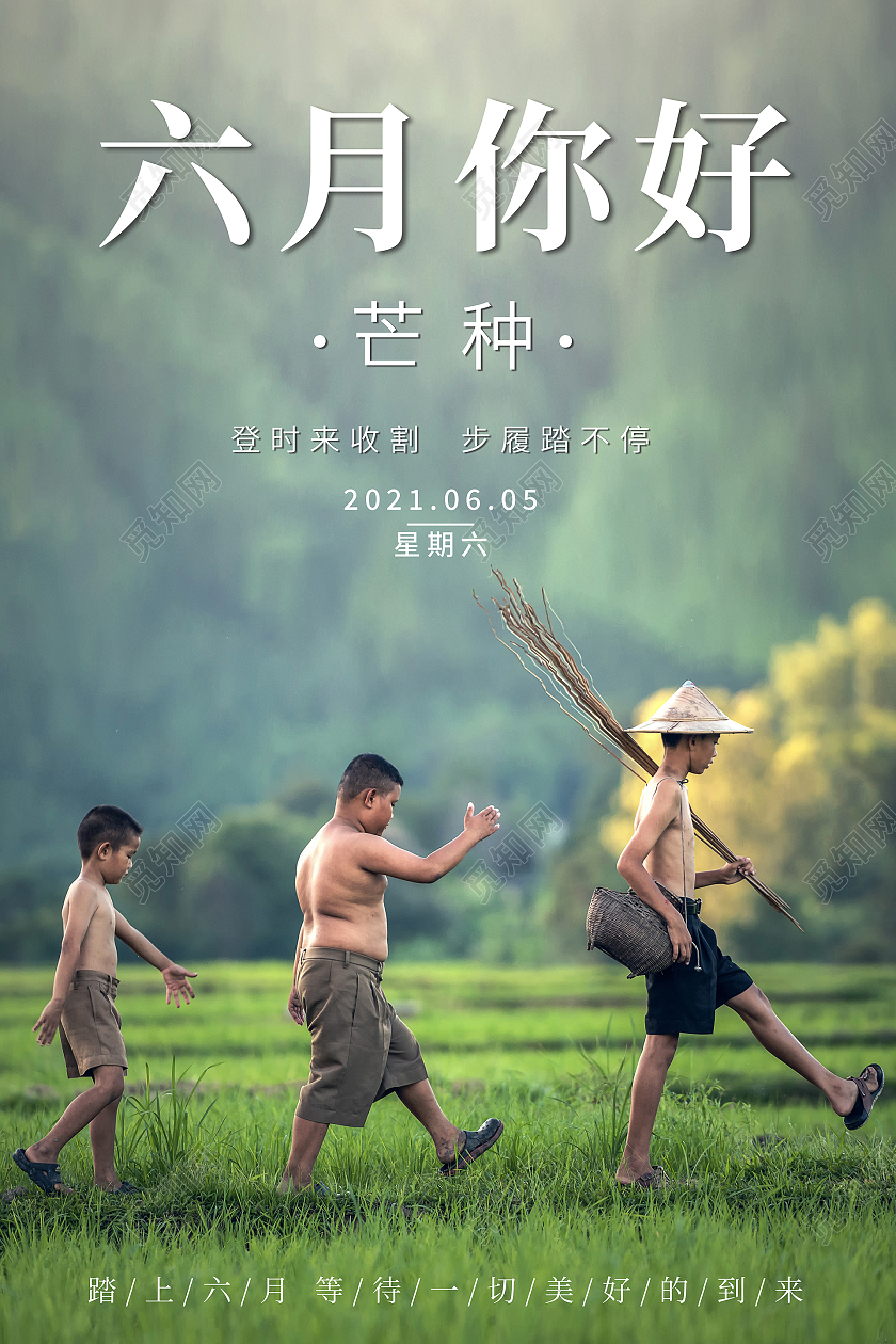 六月你好芒种海报6月你好六月你好节日