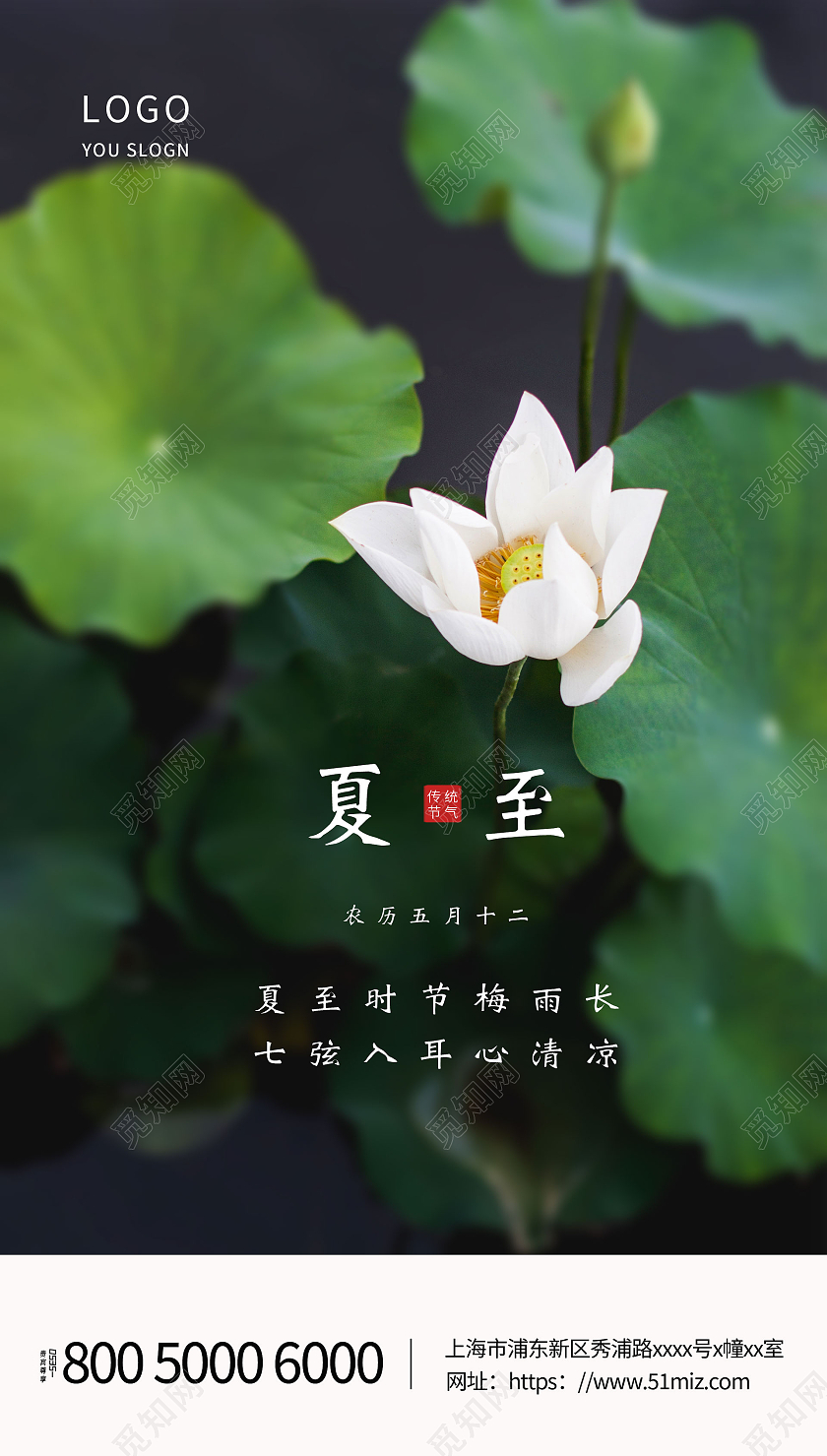绿色清新简约荷花二十四节气夏至海报夏至ui二十四节气24节气夏至ui手机海报