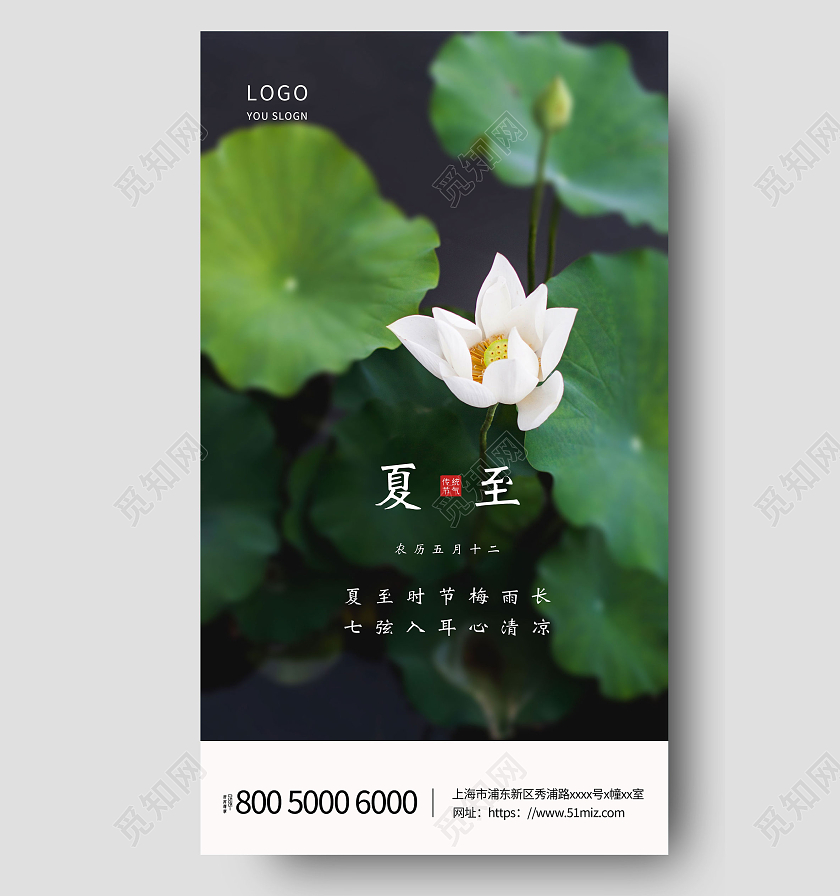 绿色清新简约荷花二十四节气夏至海报夏至ui二十四节气24节气夏至ui手机海报