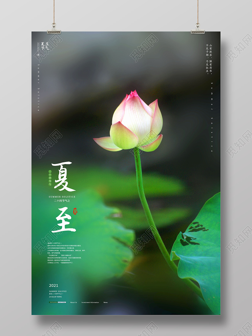 简约大气绿色夏至二十四节气夏至宣传海报二十四节气24节气夏至