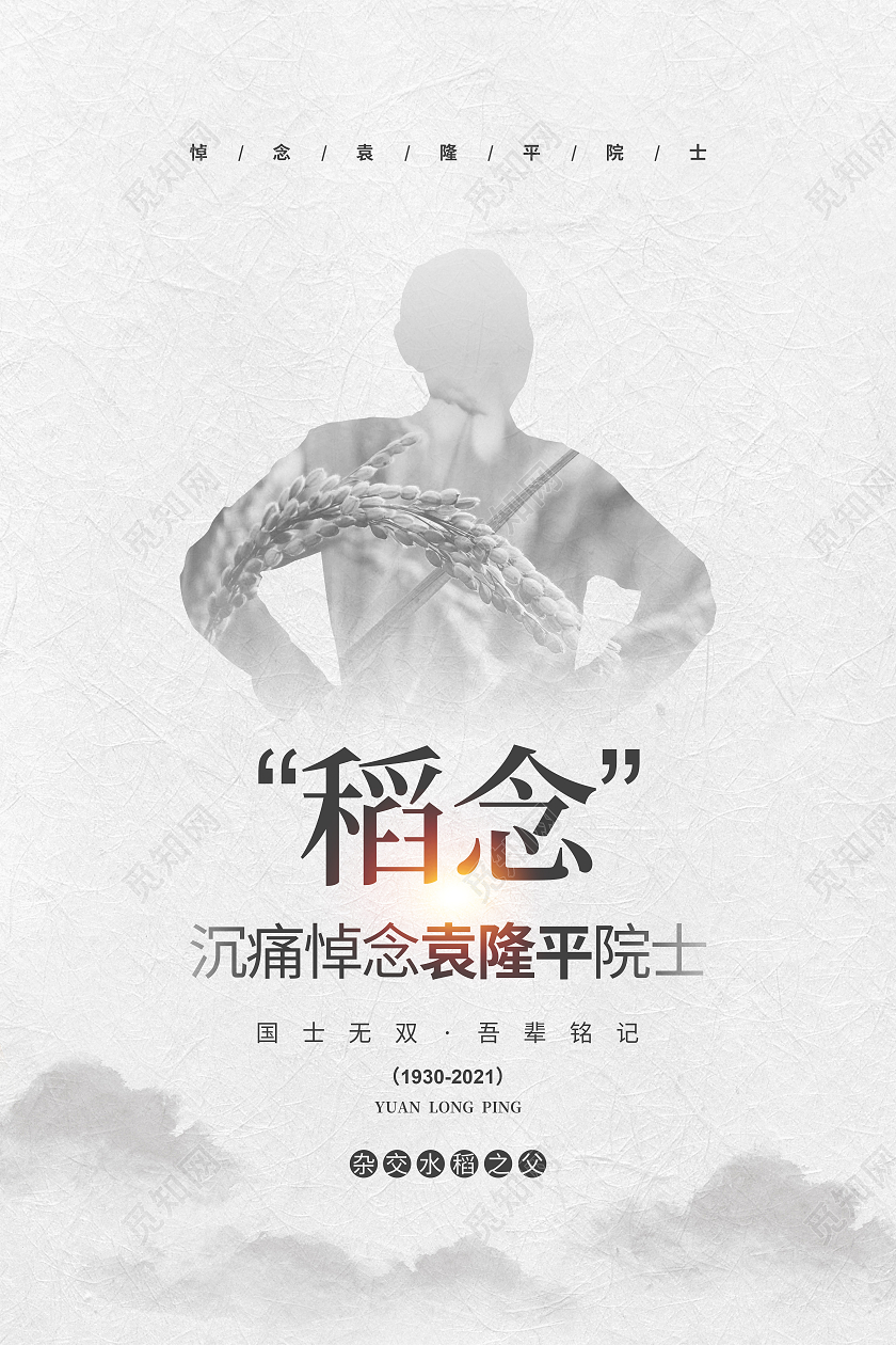 简约沉痛悼念袁隆平院士海报设计