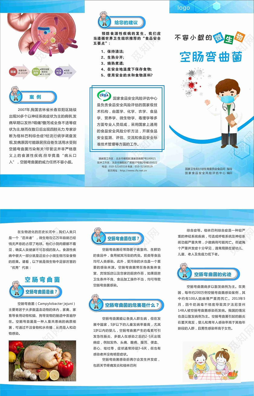 微生物空肠弯曲菌蓝色国家食品安全食品安全三折页
