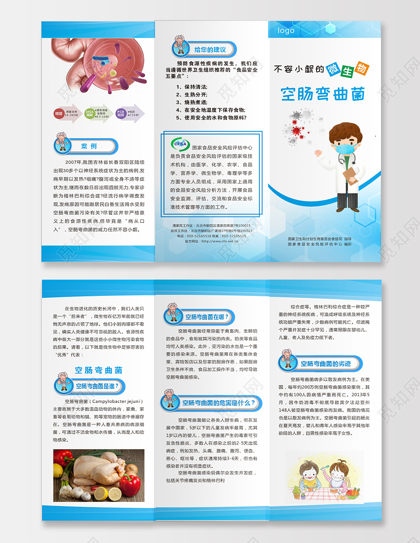 微生物空肠弯曲菌蓝色国家食品安全食品安全三折页