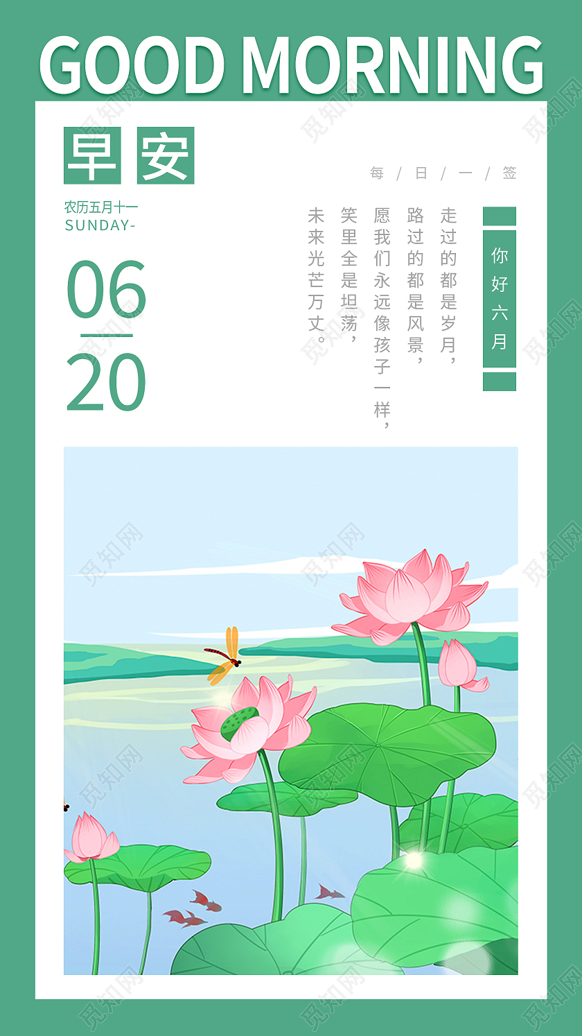 绿色荷花荷叶简约清新早安你好六月手机UI海报手机海报