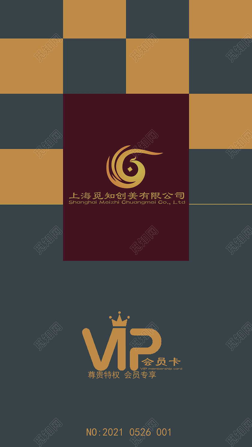 蓝色艺术会员卡VIP卡会员卡