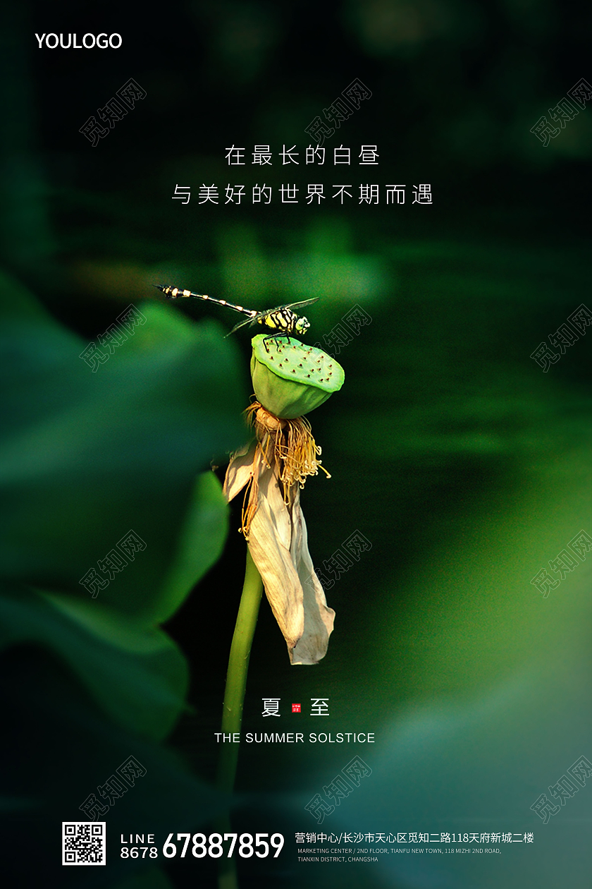 夏至海报二十四节气海报房地产海报二十四节气24节气夏至