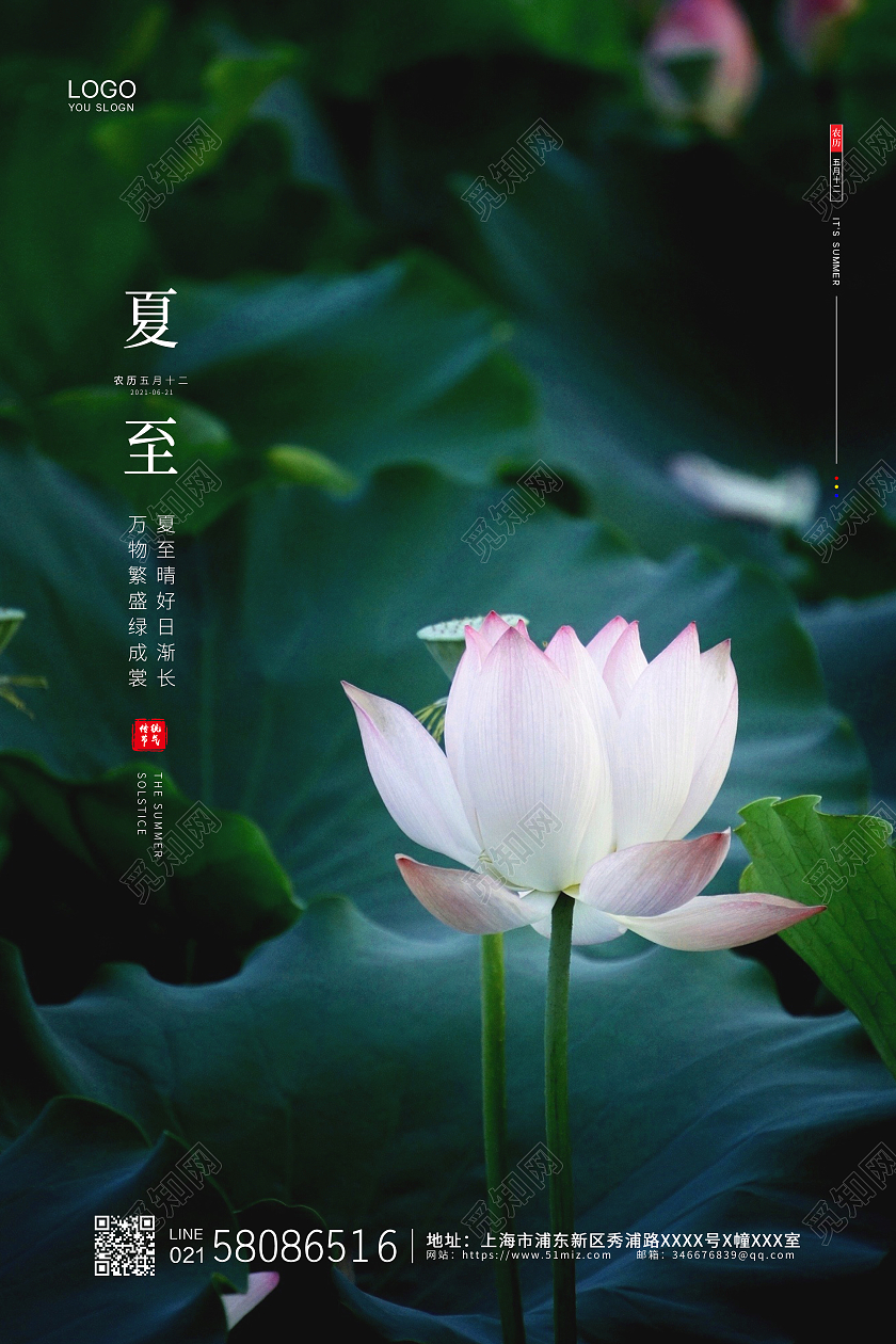 绿色简约荷花摄影24节气二十四节气夏至宣传海报二十四节气24节气夏至