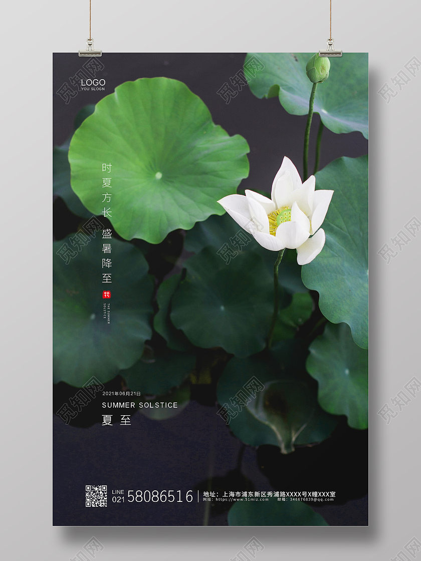 绿色简约荷花实拍夏至节气二十四节气企业宣传二十四节气24节气夏至