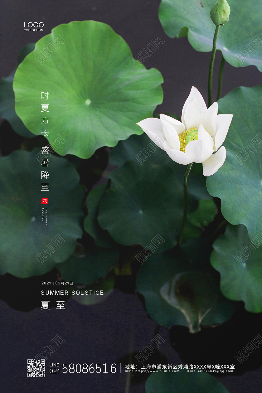 绿色简约荷花实拍夏至节气二十四节气企业宣传二十四节气24节气夏至