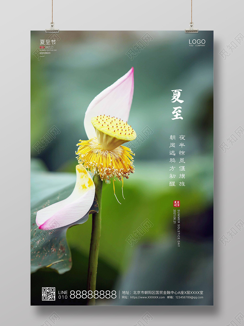 绿色实拍简洁夏至二十四节气海报二十四节气24节气夏至