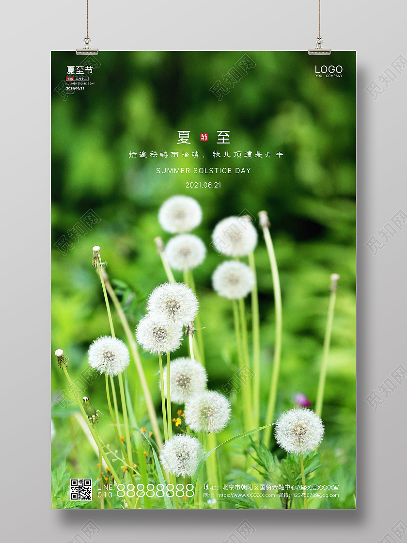 绿色实拍简洁夏至二十四节气海报二十四节气24节气夏至