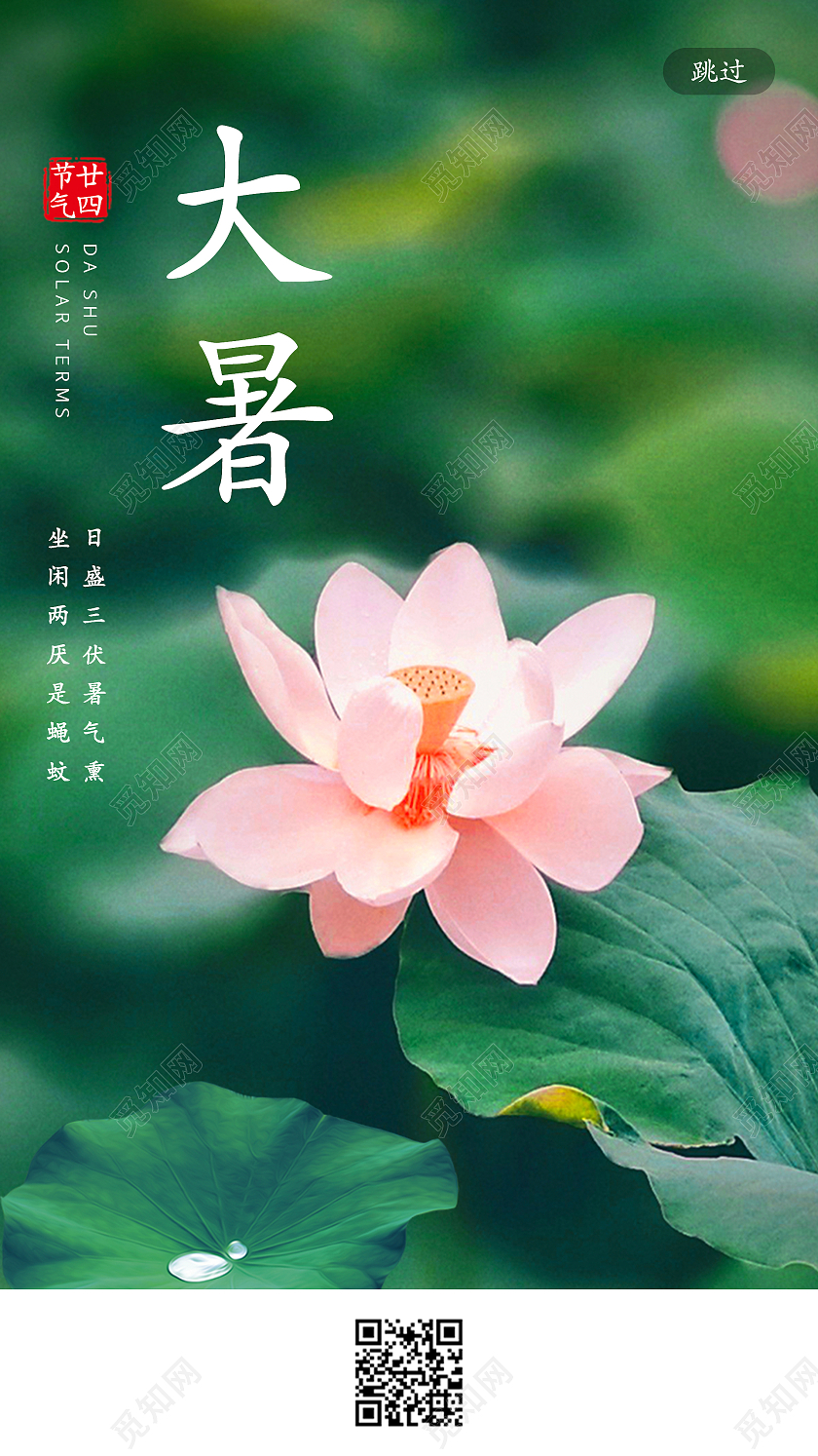 绿色荷叶简约清新二十四节气大暑手机UI海报大暑手机海报