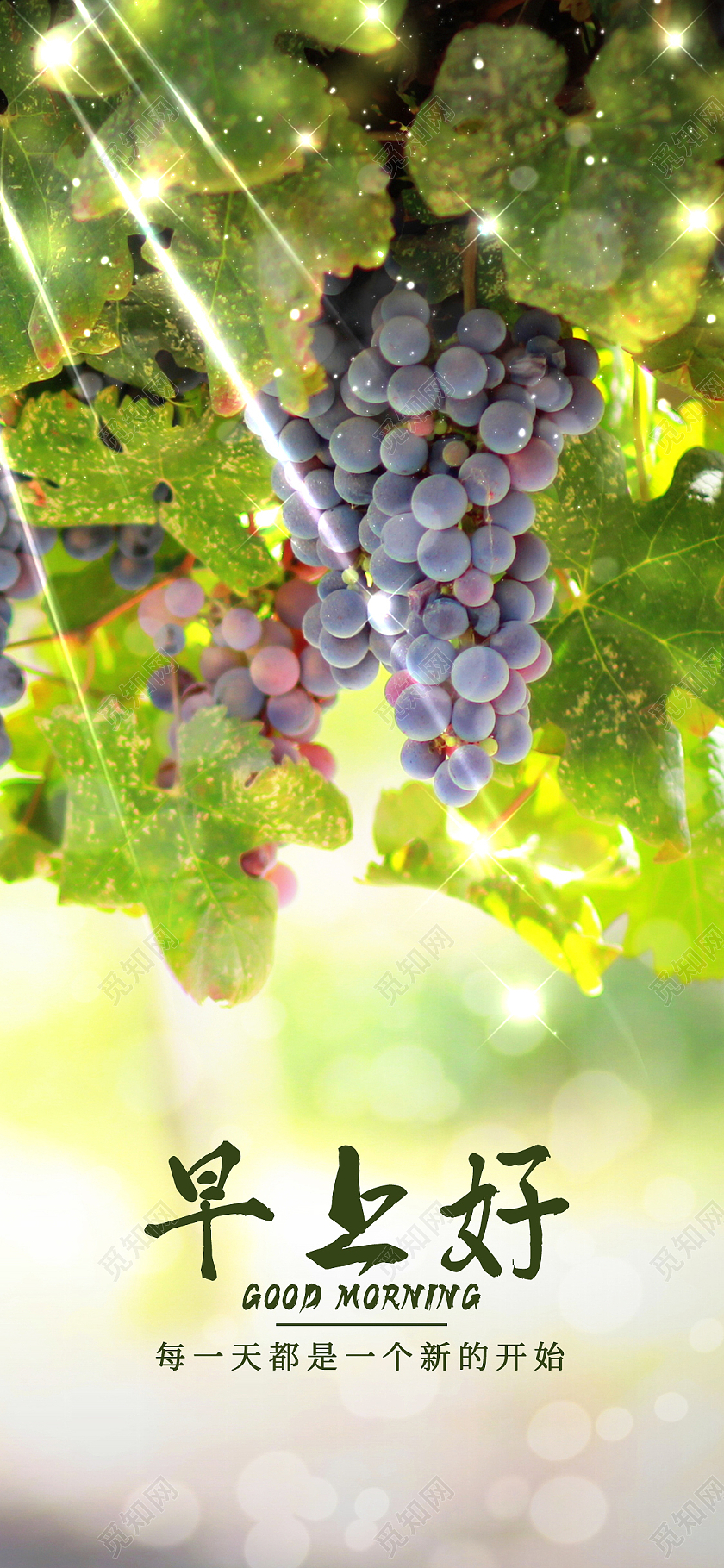 绿色简约早上好早安正能量手机海报