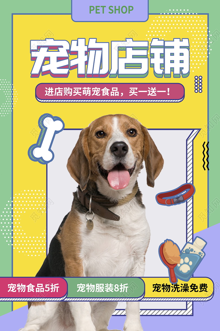 波普时尚宠物店铺宠物宣传海报宠物萌宠