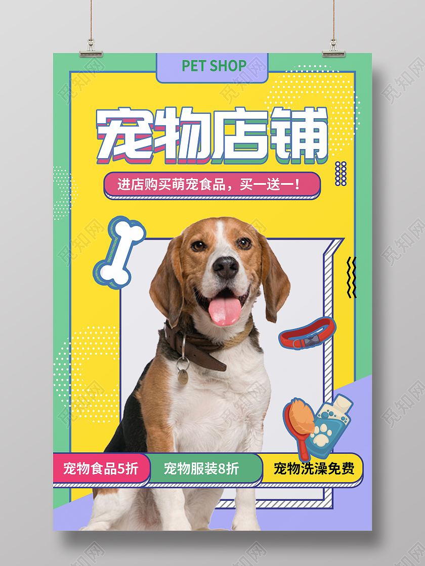 波普时尚宠物店铺宠物宣传海报宠物萌宠