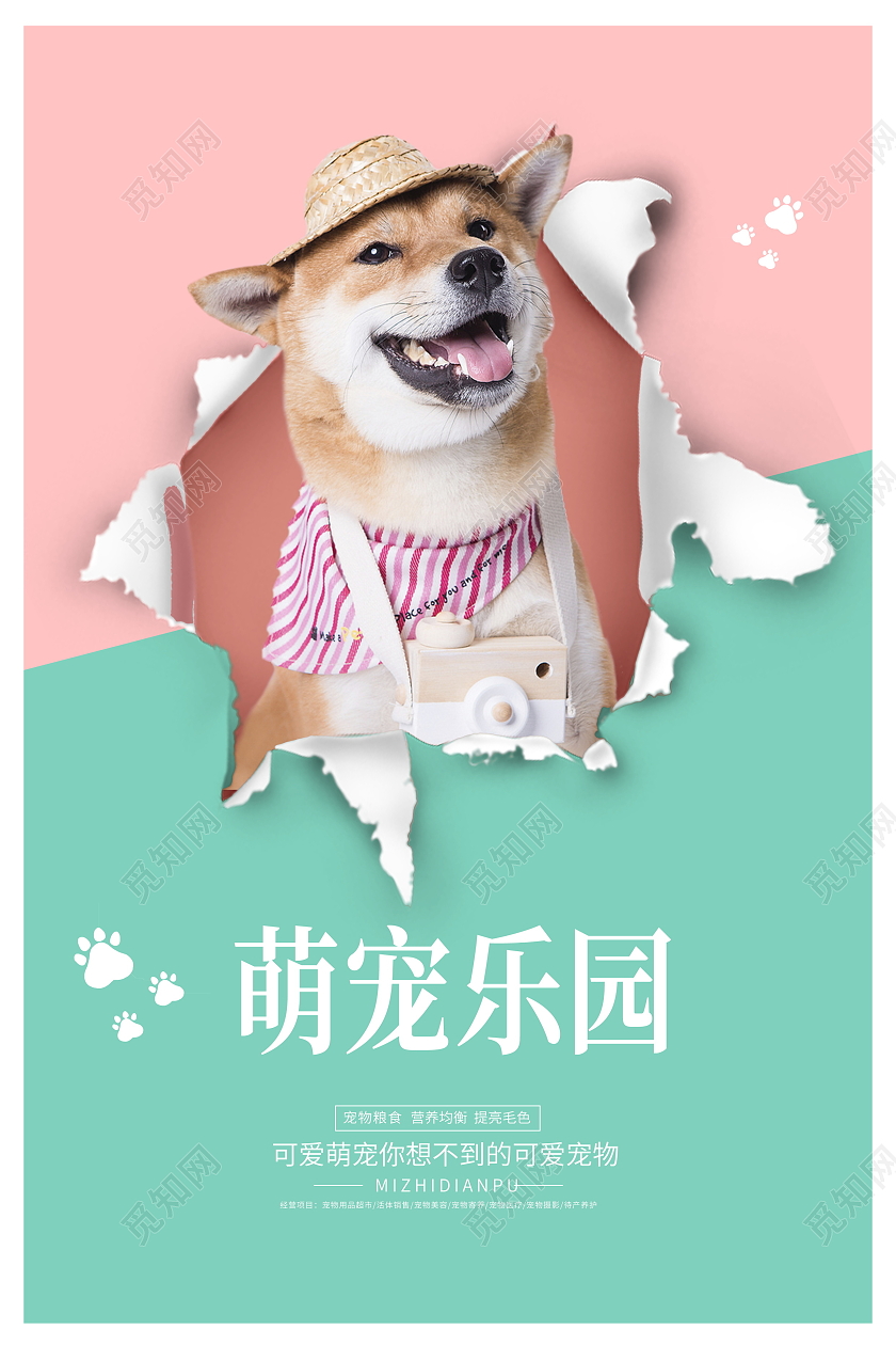小清新宠物乐园萌宠生活馆宠物宣传海报设计宠物萌宠