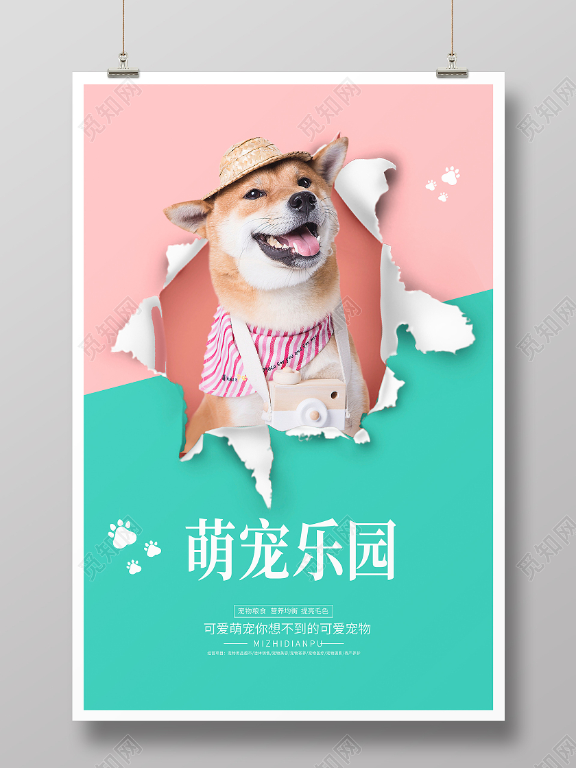 小清新宠物乐园萌宠生活馆宠物宣传海报设计宠物萌宠