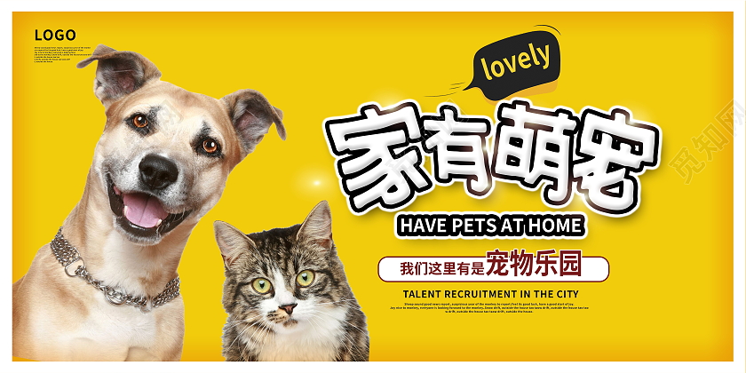 黄色时尚家有萌宠萌宠生活馆宠物宣传展板设计宠物萌宠