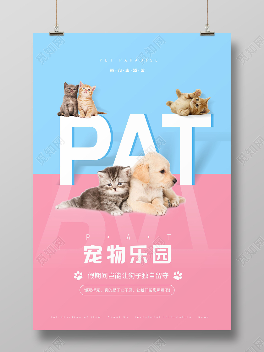 简约宠物乐园萌宠生活馆宠物寄养海报宠物萌宠