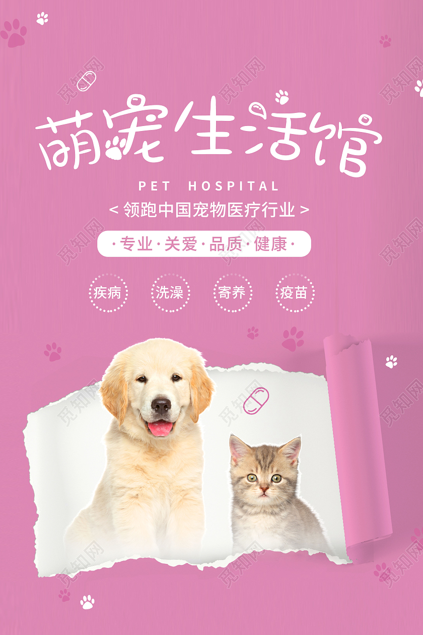 创意萌宠生活馆宠物医院宠物用品海报宠物萌宠