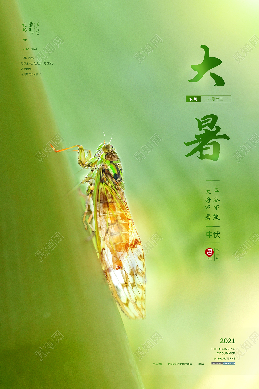 中国传统节日二十四节气大暑海报二十四节气24节气大暑