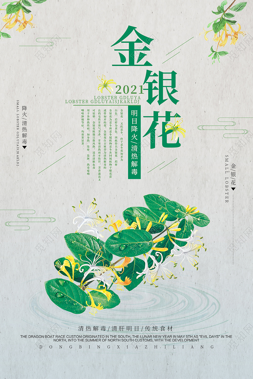 绿色 古风金银花药品海报