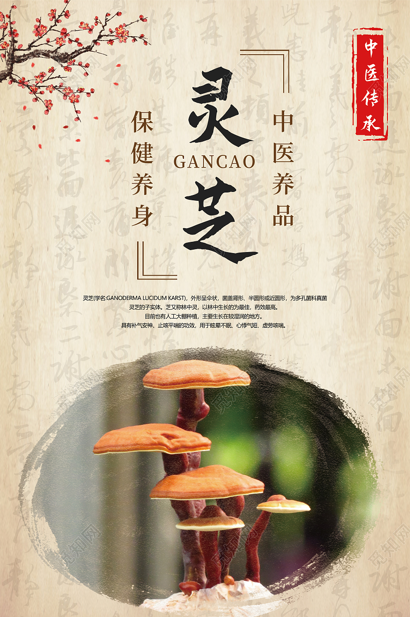 浅色复古毛笔字纸张中医养品人参灵芝甘草当归宣传海报套图药品海报