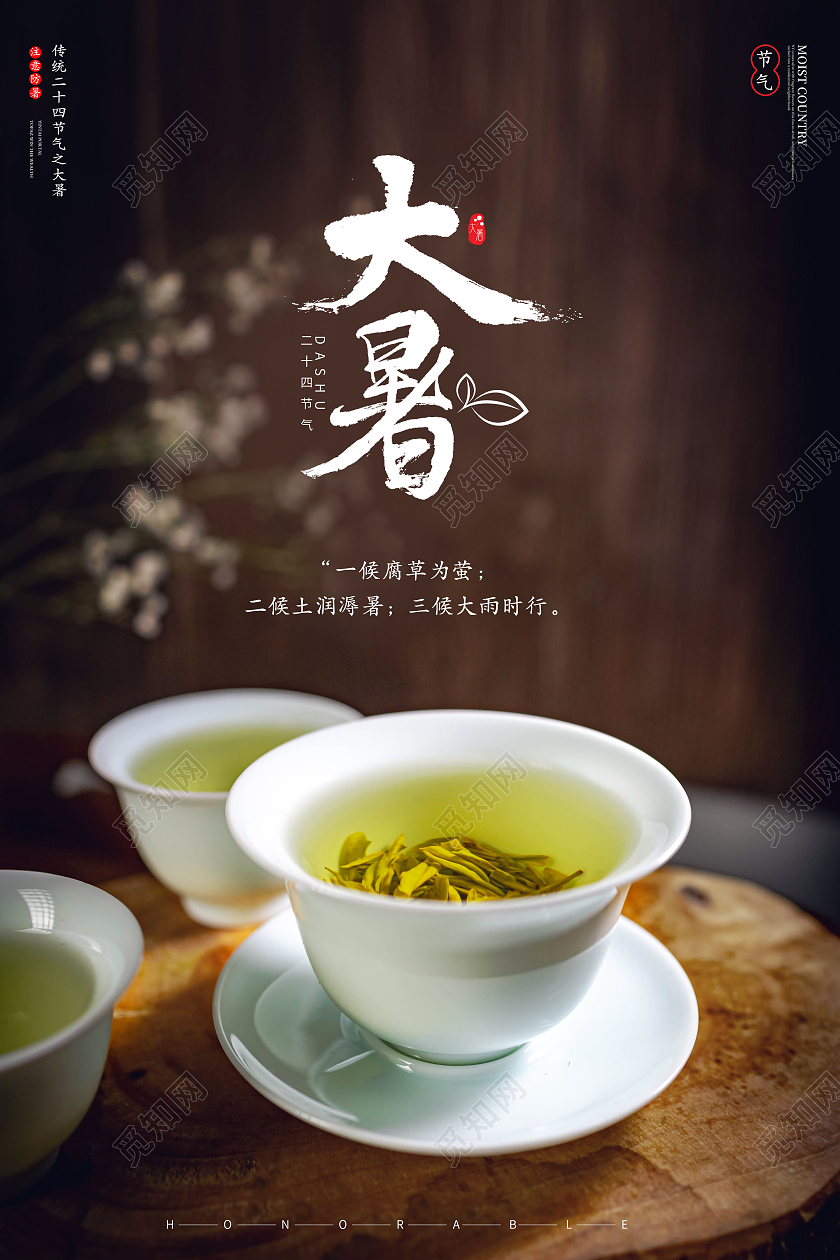 中国传统节日二十四节气大暑海报二十四节气24节气大暑