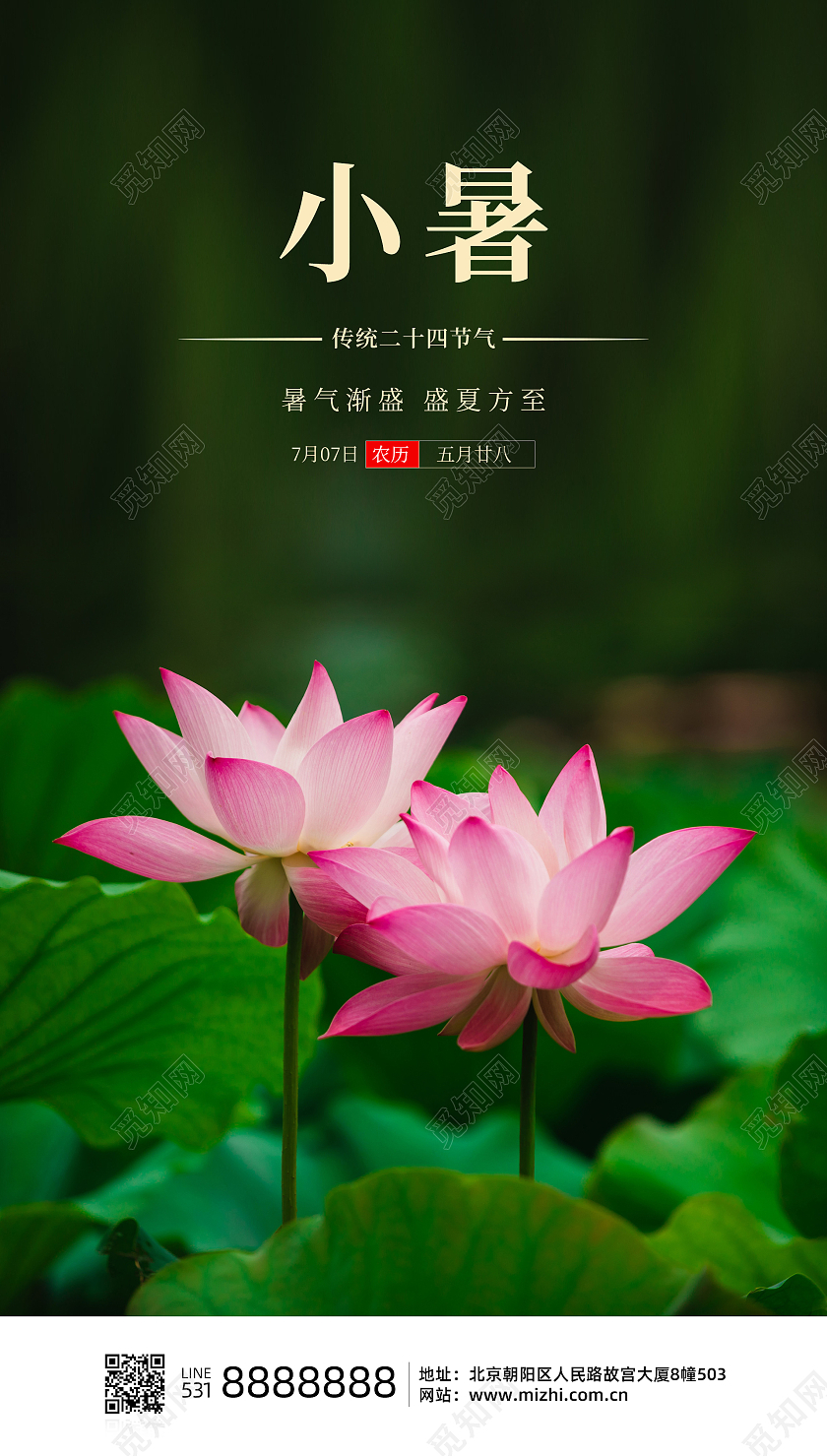 绿色季节小暑海报二十四节气24节日小暑ui手机海报