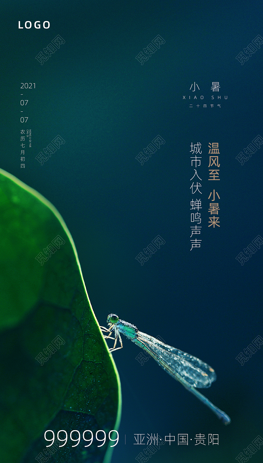 蓝色简约小暑二十四节气24节日小暑ui手机海报