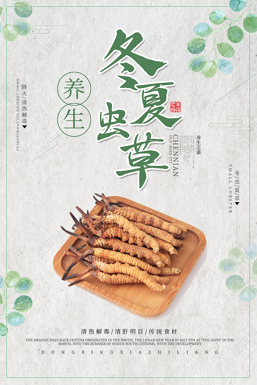 绿色 国风 冬虫夏草 中药海报药品海报