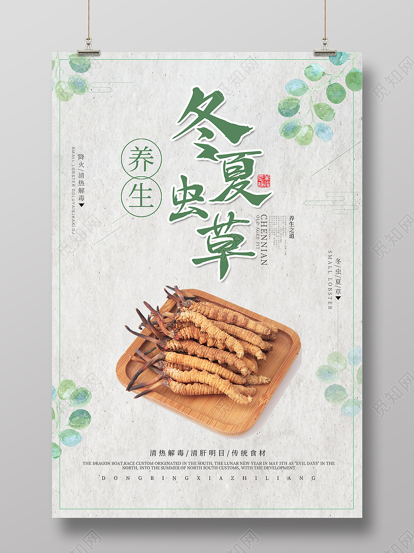 绿色 国风 冬虫夏草 中药海报药品海报