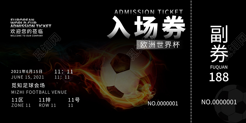欧洲杯入场券