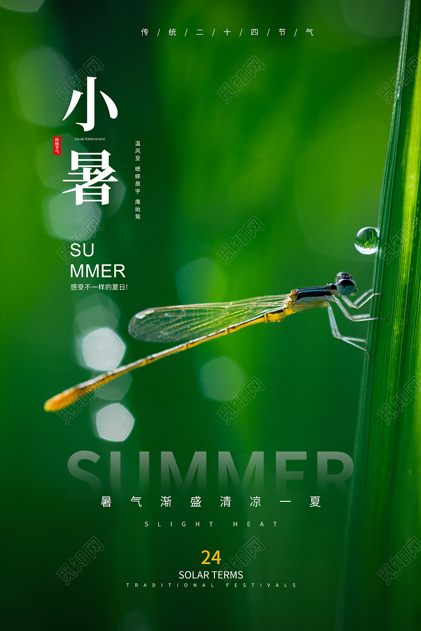 绿色清新简约小暑节气海报二十四节气24节日小暑