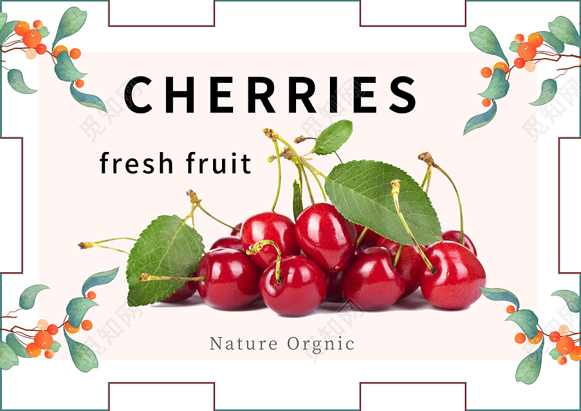 浅色简约风樱桃包装盒设计