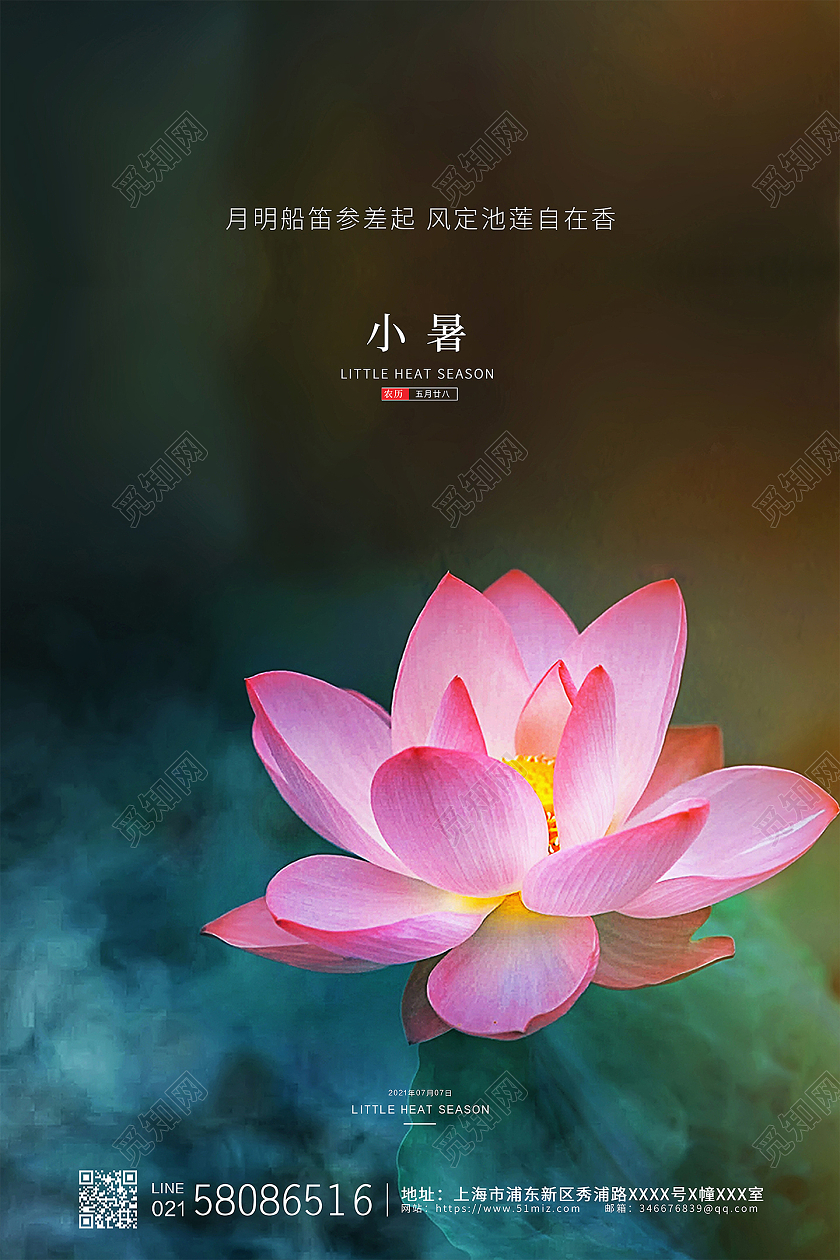 小清新简约荷花24节气二十四节气小暑宣传海报设计二十四节气24节日小暑
