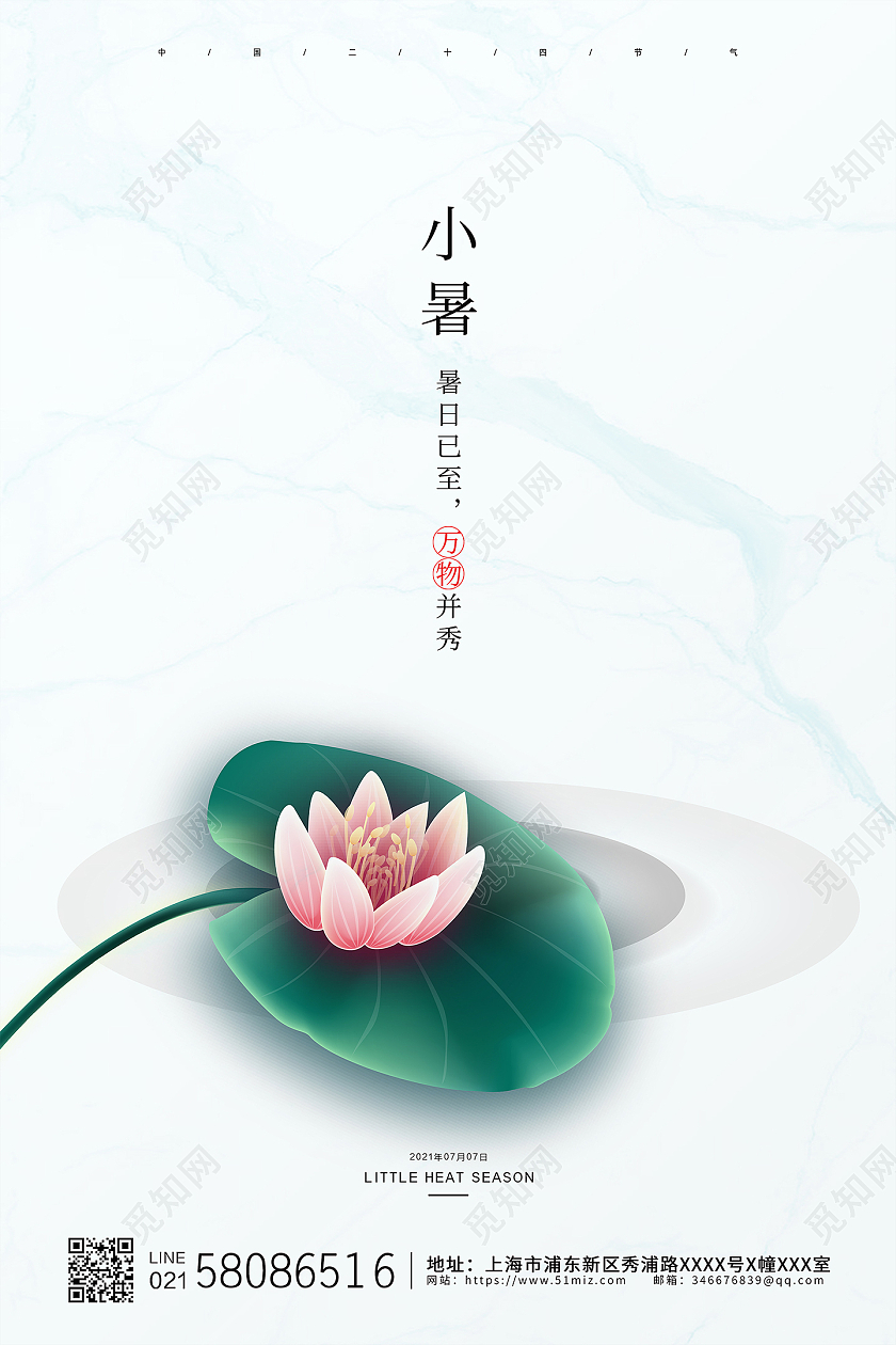白色简约荷花荷叶插画二十四节气24节气小暑二十四节气24节日小暑