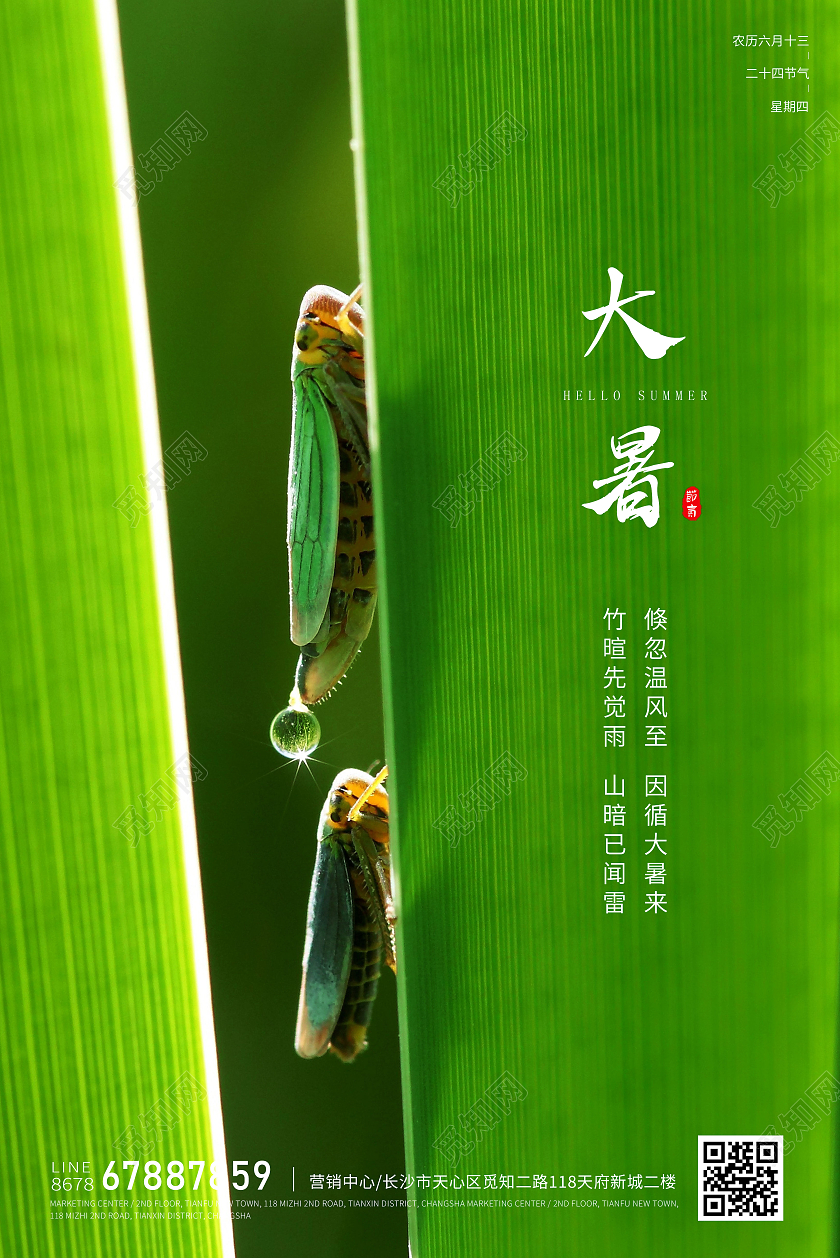 绿色简约大暑海报二十四节气海报二十四节气24节气大暑